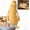 Mango, variant on Adult Sleep Mango Pillow - Long Body and Knee Pillow, Emotional Support Plush, Cool Breathable Cover, Side Sleepers and Hugging Partners, a Unique Gift to Relieve Anxiety (Mango, L （47in）)