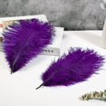 thumbnail image 4 of Plumas de avestruz Soarer para manualidades, 15 unidades, 30 a 35 cm, color morado, 4 of 6