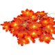 thumbnail image 1 of Luces de hadas de hoja de arce CHAO decoraciones de Halloween luces de jardín 20 luces LED, 1 of 5