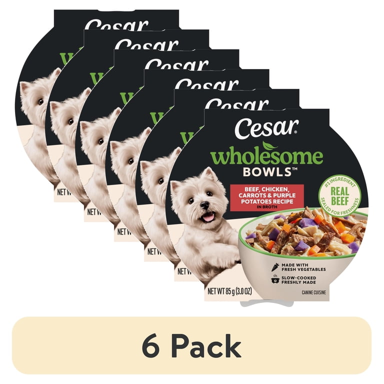 Cesar Wholesome Bowls Beef & Vegetables Wet Dog Food, 10 Bowls photo 1