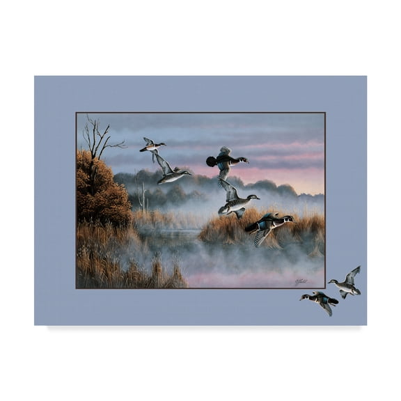 Trademark Fine Art 'Ducks In Flight' Canvas Art by Wilhelm Goebel