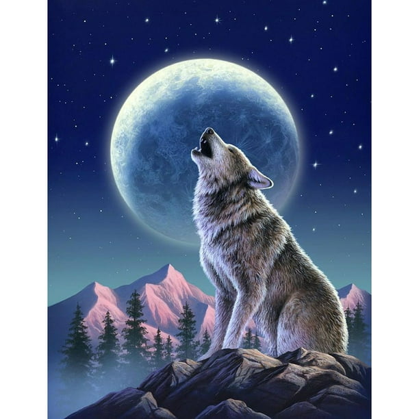 Cheap Woman DIY 5D Diamond Painting Full Round Resin Wolf Animals