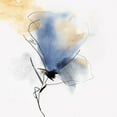 thumbnail image 3 of PI Studio 12x12 Black Modern Framed Museum Art Print Titled - Petals Soft Touch I, 3 of 5