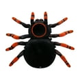 thumbnail image 3 of Yeacher RC Climbing Spider Remote Control Ugly Toys Climbing Car Fun Halloween Creepy Spider Simulation, 3 of 8