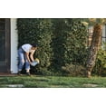 thumbnail image 3 of Sunday Ant Adios Insect & Ant Killer, 2lb Bag, 4000 sq ft, 3 of 7