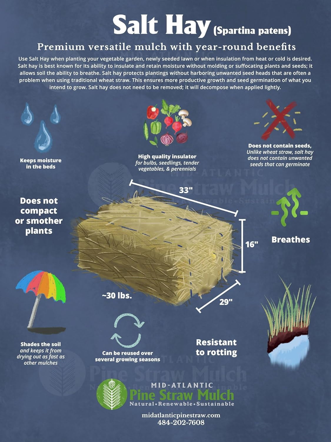 Organic Salt Hay Mulch for Vegetable Gardens | Clean & Sustainable | Weed-Seed-Free | Insulates & Retains Moisture for Plants & New Grass Overseeding | SM Box (12"x12"x12") | 125 Sq. Ft. Coverage