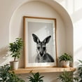 thumbnail image 4 of baby kangaro - Photography Black and White Animal Wildlife Portrait Nature Minimalist Oak Framed Wall Art Print 12 x 18 inches, 4 of 59