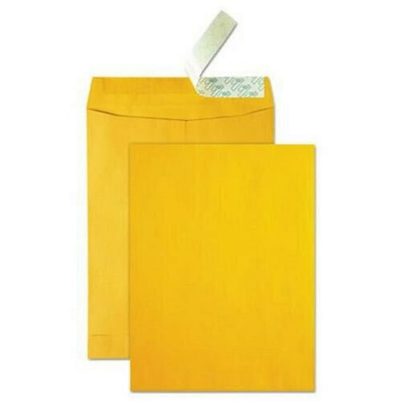 Quality Park High Bulk Redi-Strip Catalog Envelope, 9 x 12, 250/Box (QUA41420)