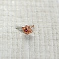 thumbnail image 6 of Body Candy Womens 20G 6mm 316L Steel Nose Ring Octogram Star Nose Stud Nose Bone 1/4, 6 of 7