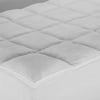 Plush Microtec Fiber Bed
