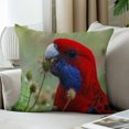 thumbnail image 3 of LALILO Throw Pillow Covers Crimson Eating Bird Cute Animal Cushion Cover 18" x 18", 2 Pack, 3 of 6