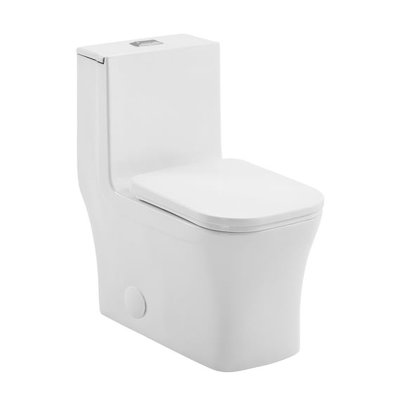 Bastille One Piece Square Toilet Dual Flush 1.1/1.6 gpf with 10" Rough In