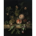 thumbnail image 2 of Rachel Ruysch 12x14 Gold Ornate Wood Frame and Double Matted Museum Art Print Titled - Peaches, Grapes and Plums with a Dragonfly, Snail, Caterpillar, Butterfly and Other Insects on a Stone, 2 of 4