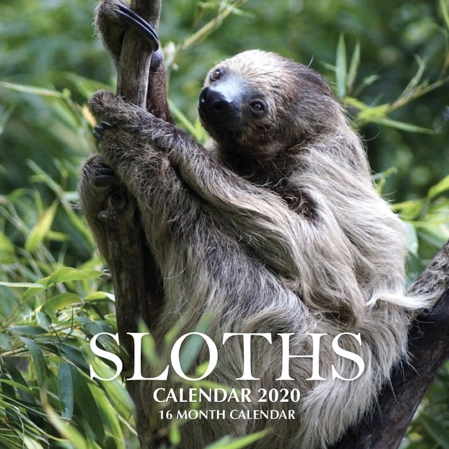 Sloths Calendar 2020 : 16 Month Calendar (Paperback) - Walmart.com Sloths Calendar 2020 : 16 Month Calendar (Paperback) - Walmart.com