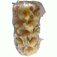 One Hundreds Bougie Fleurie Sculptée 80 Degree avec Sac Cello : Jaune