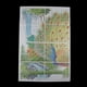 thumbnail image 4 of Kit de , preimpreso - de pavo , kit de manualidades para niños y principiantes, 4 of 9