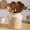 Arch, variant on Ceramic Farmhouse Kitchen Utensil Holder for Countertop, Rustic Cooking Utensil Holder Crock Fit for Kitchen Counter