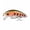 B, variant on MInHoues Floating Crankbait, 1.77" Hard Plastic Minnow Fishing Lure with Treble Hooks, Realistic Wobbling Artificial Bait for Bass and Trout, Freshwater Saltwater Tackle Gear
