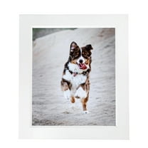 ArtToFrames 16" x 20" Contemporary White with Lip Picture Frame, 16x20 inch White Wood Poster Frame (WOM-2032), 1 Pack