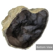 Backyard X-Scapes Beige Artificial Boulder Fake Rock 9 H x 13 W x 16 L