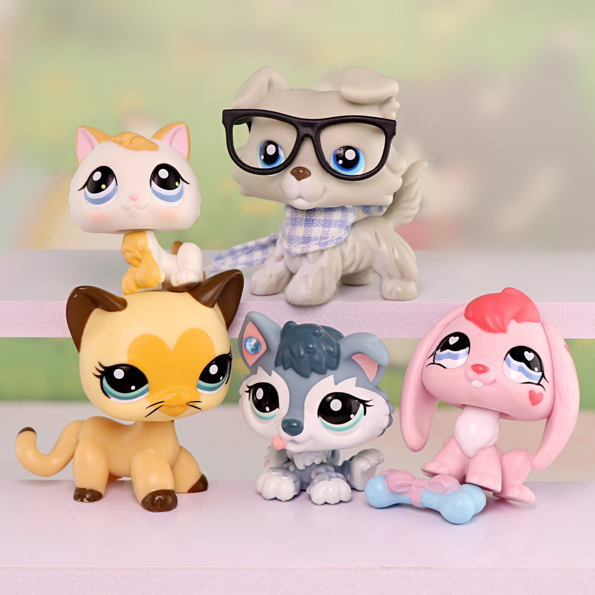 5pcs Mini Pet Toys Bunny Rabbit Collie Short Hair Cat Husky Puppy Kitten Cat with Accessories
