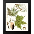 thumbnail image 2 of Unknown 12x14 Black Modern Framed Museum Art Print Titled - Maple Leaves III, 2 of 5