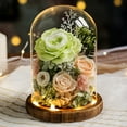 thumbnail image 2 of Infinity Rose Eternal Rose Flower Glass Cover with Led Light Preserved Real Infinity Glass Dome Romantic Home Decor Bedroom Light Long-lasting, 2 of 8