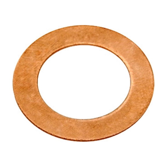 Raybestos R-Line Washers