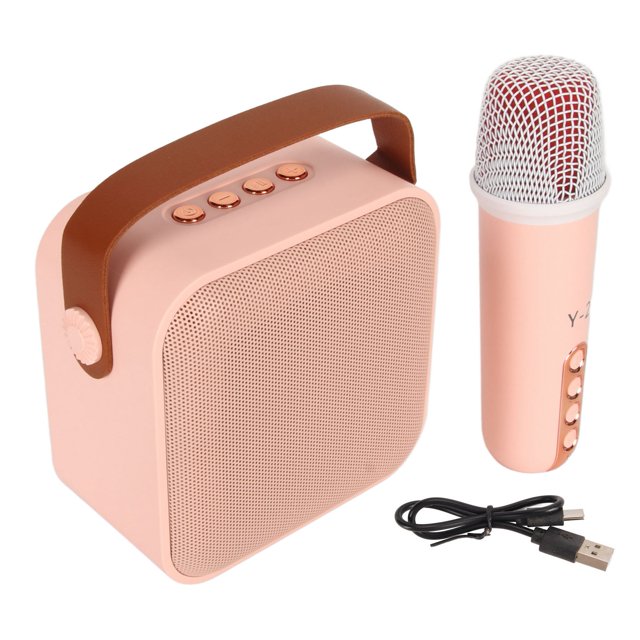 Altavoz Bluetooth con micrófono inalámbrico, mini juego de máquina de karaoke Máquina de karaoke portátil Juego de máquina de karaoke Diseño fácil de usar