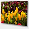 thumbnail image 2 of Beautiful Yellow Tulips Garden - Large Flower Canvas Art Print, 2 of 3
