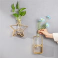 thumbnail image 2 of Jarrón Para Colgar En La Pared, Contenedor Hidropónico De Vidrio De Hierro Dorado Decorativo, Estantes De Flores De Estrella De Amor, Decoración Geométrica Para El Hogar, Contenedor Hidropónico Eigraketly HA023750-00, 2 of 7