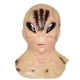 thumbnail image 1 of Máscara facial integral de látex Headgear Alien Bald Man, 1 of 3