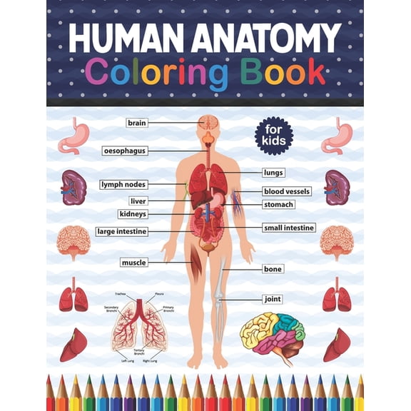 Human Anatomy Coloring Book For Kids: Human Body Student's Self-Test Coloring Book. Human Body Anatomy Coloring Book For Kids, Boys and Girls and Medical Students Gift For kids Ages 4, 5, 6, 7, And 8.