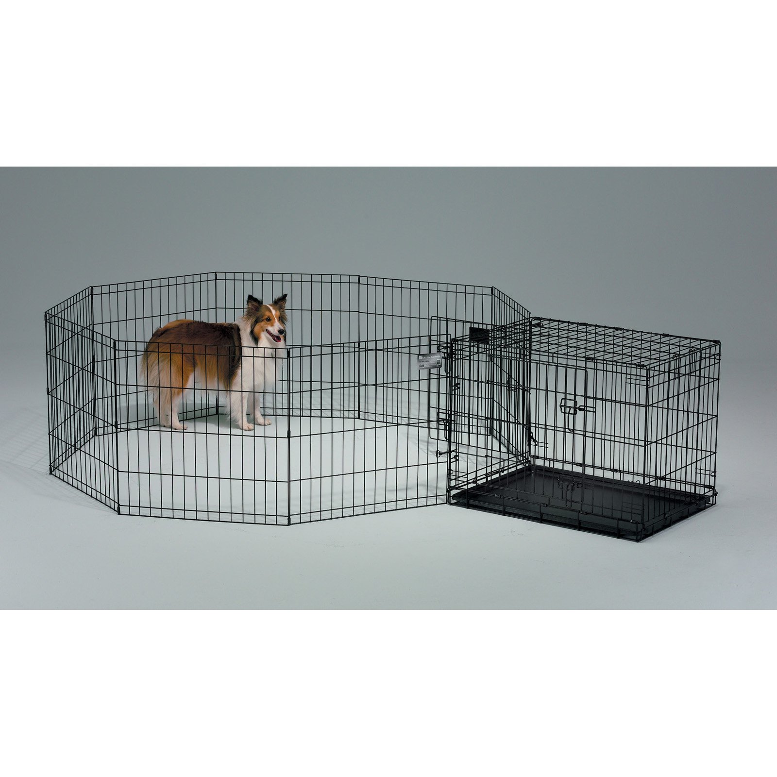 MidWest Homes For Pets Double Door iCrate Metal Dog Crate, 36" - image 2 of 10