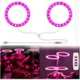thumbnail image 1 of 1/2/3/4 Ring Small Plant Halo Grow Light with 8/12/16H Timer for Desk,Full Spectrum LEDs USB Mini Dimmable Grow Light for Indoor Umbrella Plant Seeds herb Growth(2 Rings), 1 of 7