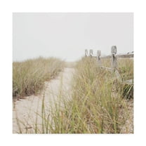 Trademark Fine Art 'To the Beach Path' Canvas Art by Laura Marshall