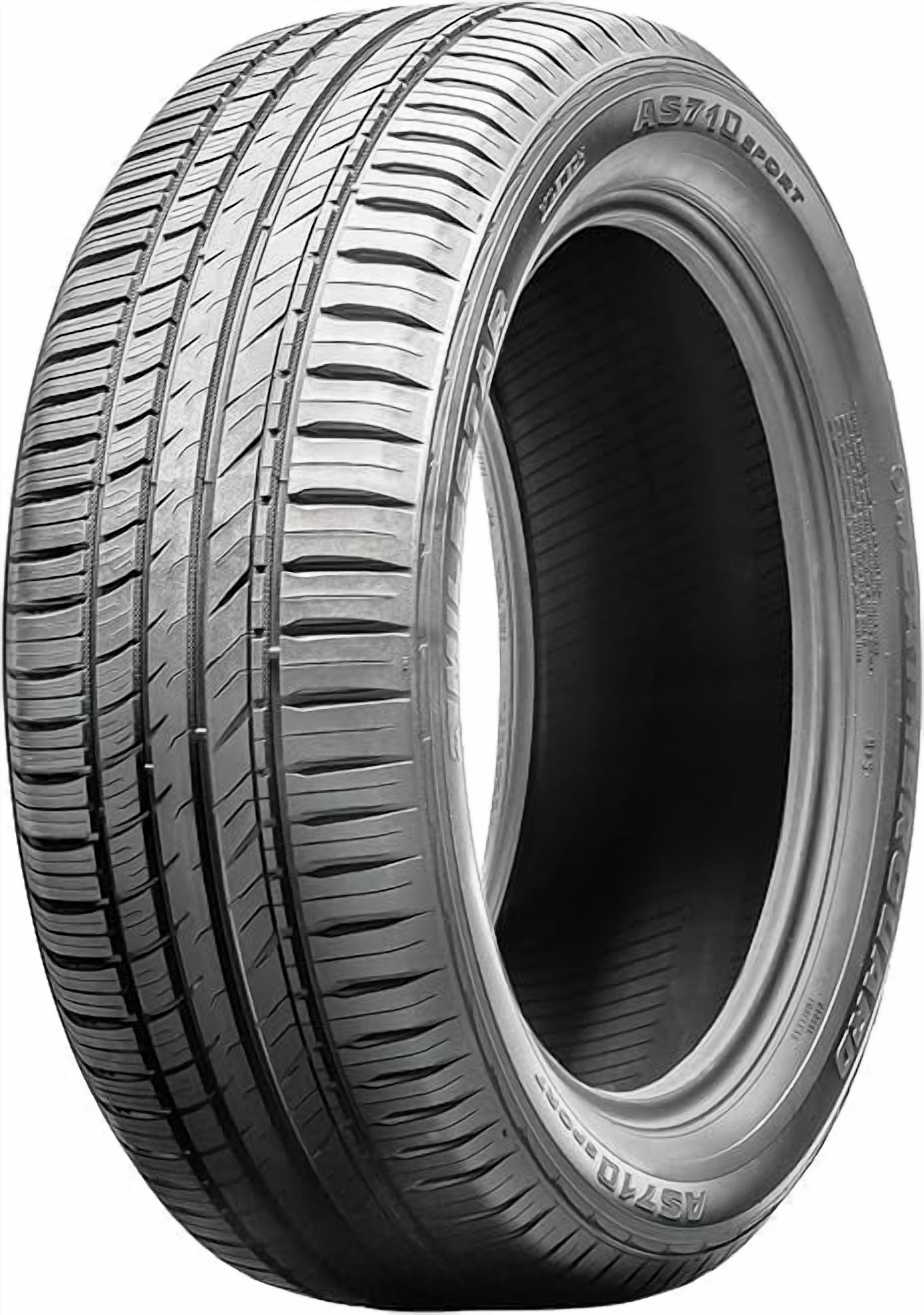 Milestar Weatherguard P205/65R16 127 Q Tire