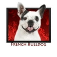 thumbnail image 2 of CafePress - French Bulldog Throw Blanket - Soft Fleece Throw Blanket, 50"x60" Stadium Blanket, 2 of 2