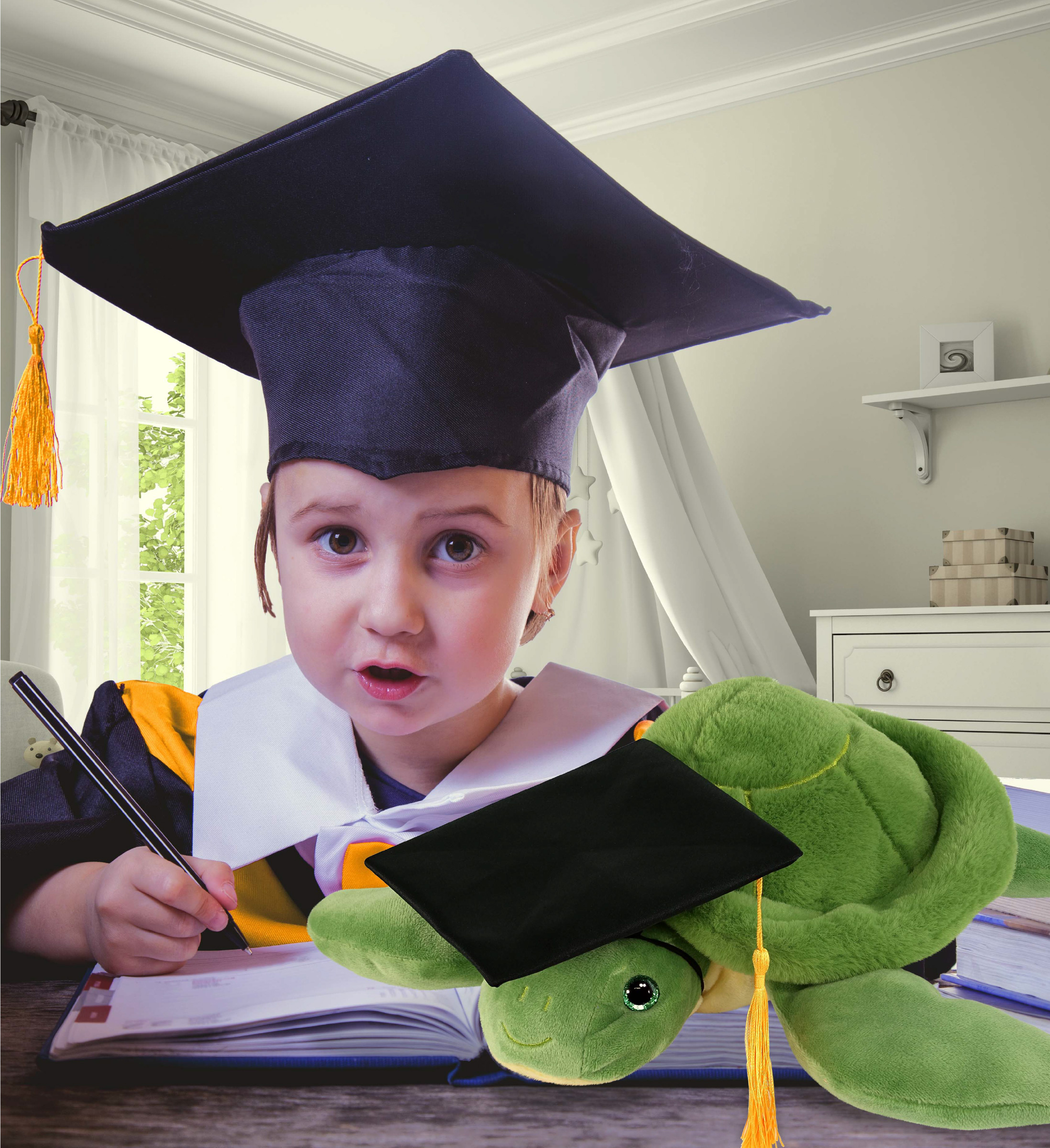 DolliBu Green Sea Turtle Graduation Plush Toy - Super Soft Turtle Graduation Stuffed Animal Dress Up with Graduation Cap with Tassel - Reward Celebration Grad Gift - 13 Inch