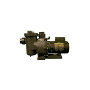 Jandy Zodiac FHPM.75 115/230V .75HP Single Speed Swimming Pool Pump