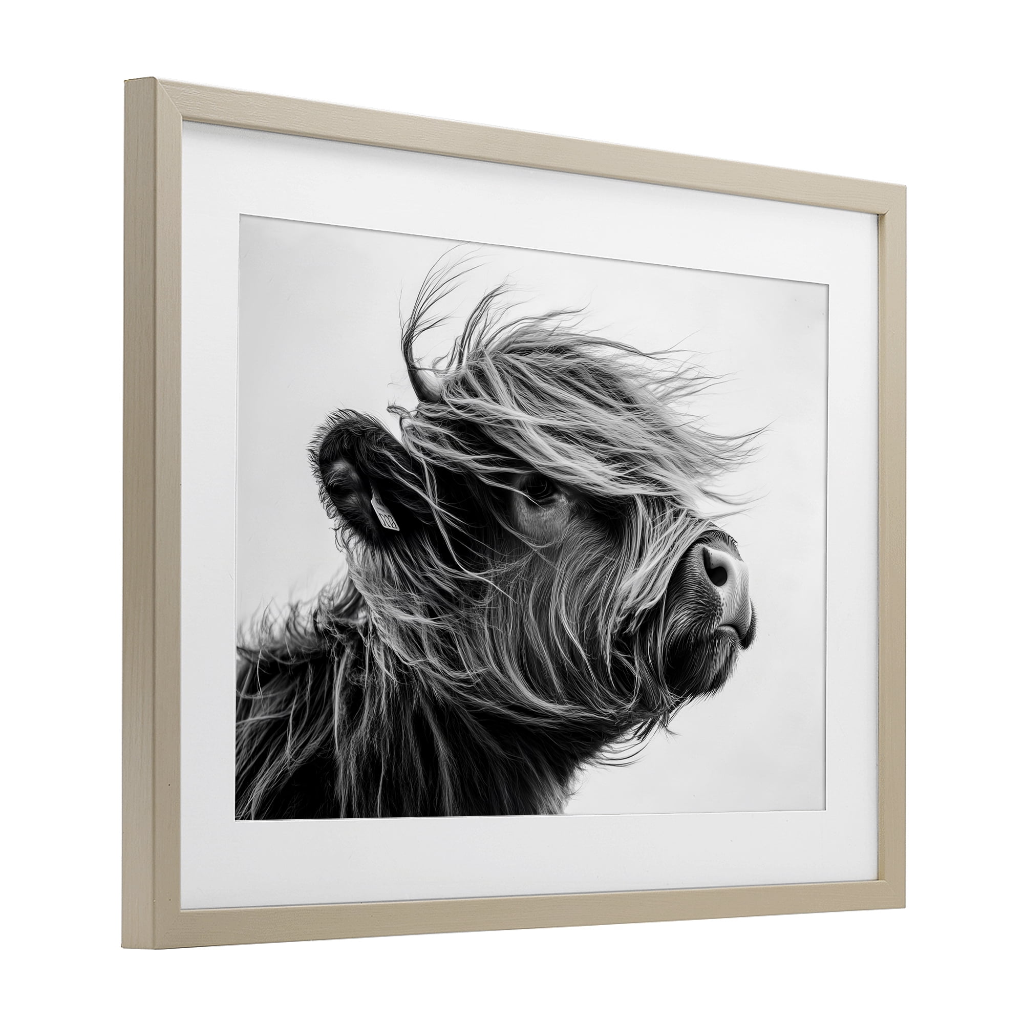 Stupell Industries Handsome Highland Portrait Birch Framed Print Under Glass, design by Tina LeCour