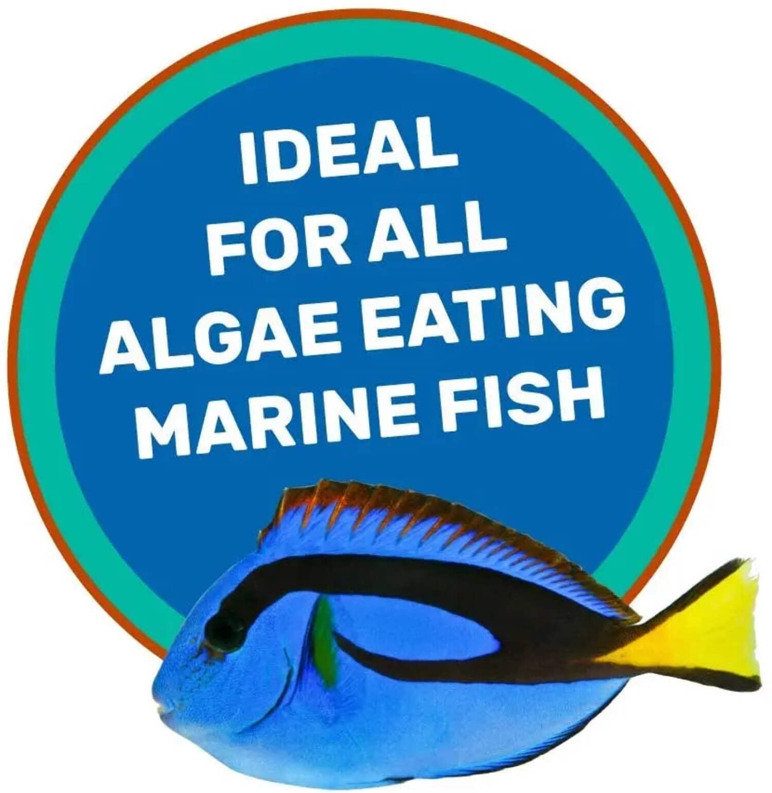 Hikari Saki-Hikari Marine Herbivore MD Sinking Fish Food 3.17 oz. 3-Pack