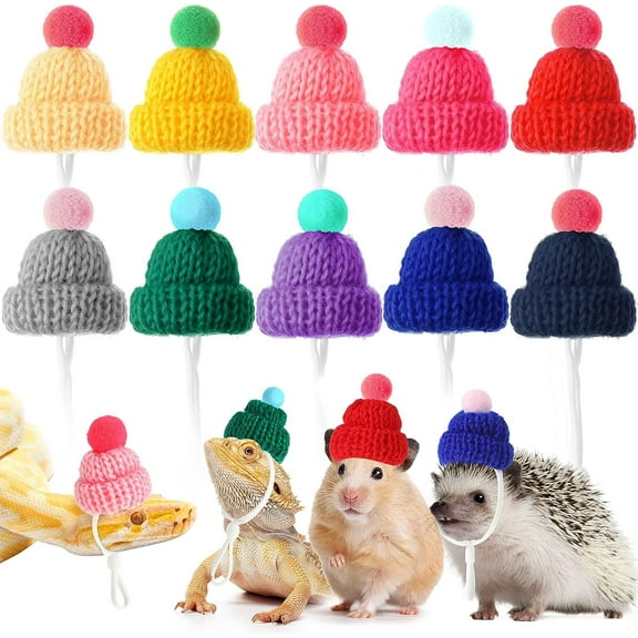 Lsupdaol 10 Pieces Pet Snake Christmas Hat Hamster Hat with Adjustable Elastic Strap, Snake Ball Hamster Python Lizard Guinea Pig Knitted with Pompon for Small Reptile Animal Decoration Accessories