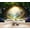 Color 2, variant on Wallpaper Watercolor Pine Forest Misty Mountain Landscape Soft Green Peel and Stick Wall Murals 69"H x 96"W Removable PVC Wall Paper Self-Adhesive Wall Paintings Art Decor for Bedroom Living Room