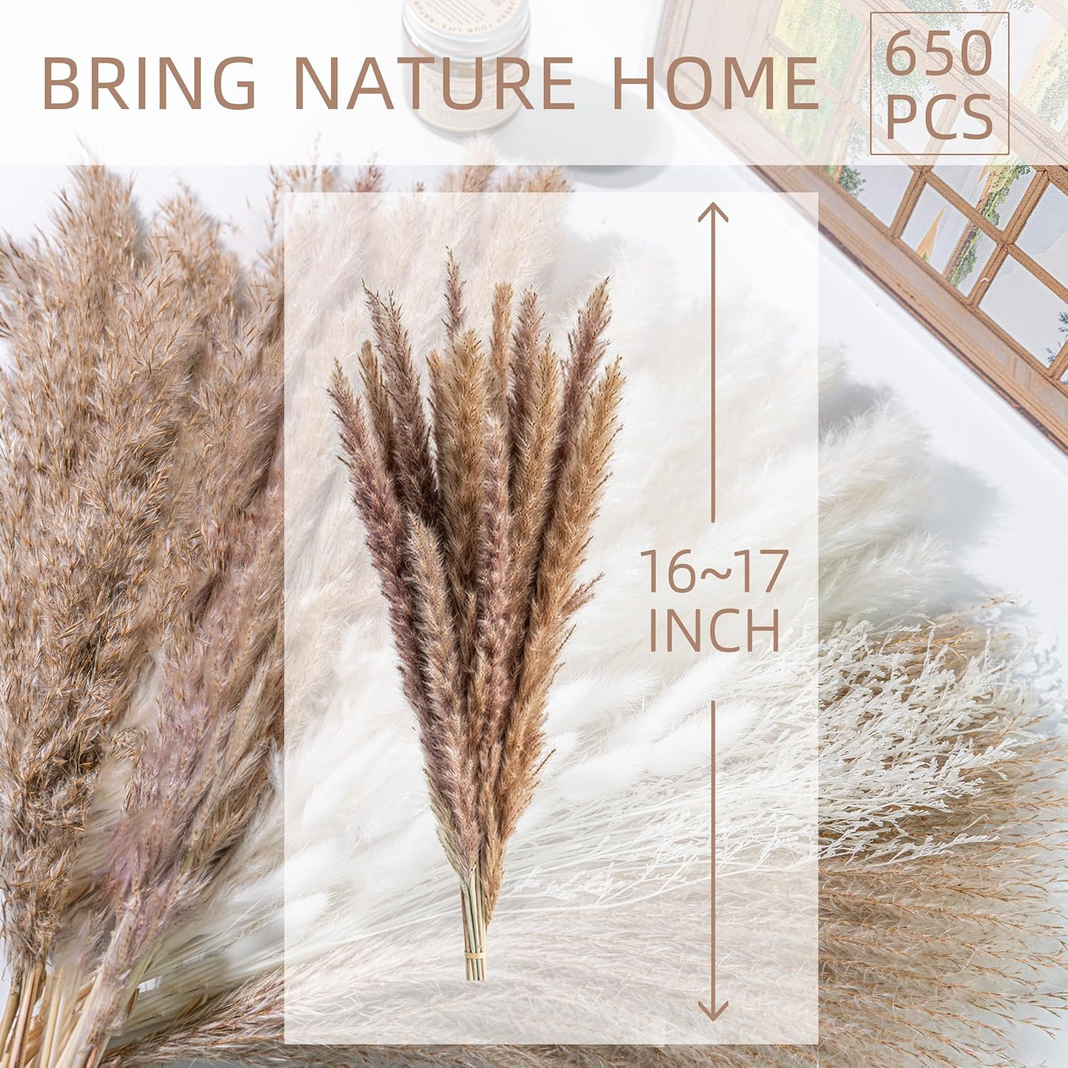 650PCS Natural Dried Pampas Grass Bouquet, Phragmites Dried Flowers Boho Home Decor for Wedding Floral Arrangements & Living Room Decorations