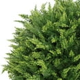 thumbnail image 5 of poetree 24" Artificial Cedar Topiary Ball in Pot – Realistic UV-Resistant Faux Plant for Indoor & Outdoor, Ideal for Seasonal & Year-Round Decor, 5 of 7