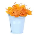 thumbnail image 5 of Cute Mini Solid Color Pail Bucket Wedding Party Candy Favours Home Hotel Decor by Mightlink, 5 of 7