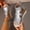 Silver, variant on Women Plus Size Open Toe High Top Back Zip Wedge Sandals Faux Leather Bohemian Summer Casual Silver