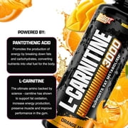 Nutrex Research L-Carnitine 3000 31 Servings | Liquid Shots, Stimulant Free | Supports Muscle Recovery For Men and Women