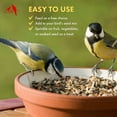 Morning Bird White Proso Millet Seed, Healthy Bird Food, Nutritious